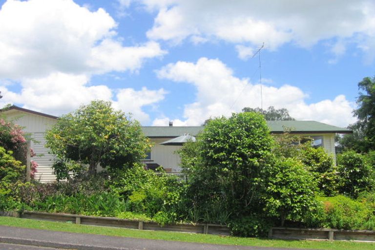 Photo of property in 20 Tarrangower Avenue, Taumarunui, 3920