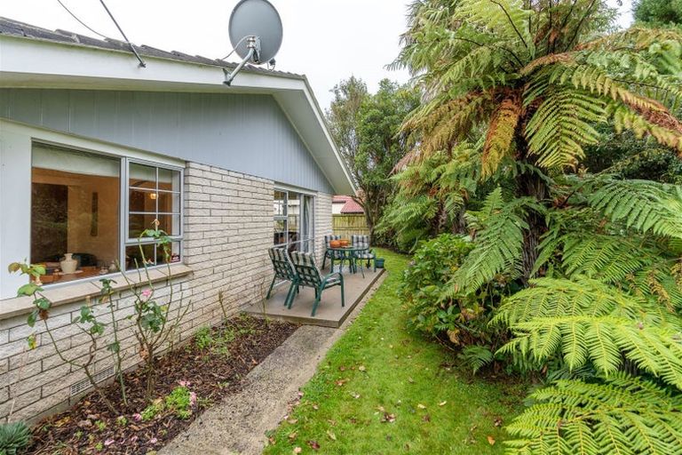 Photo of property in 117b Clarkin Road, Fairfield, Hamilton, 3214