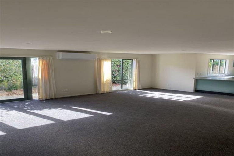 Photo of property in 58 Hewitts Road, Merivale, Christchurch, 8014