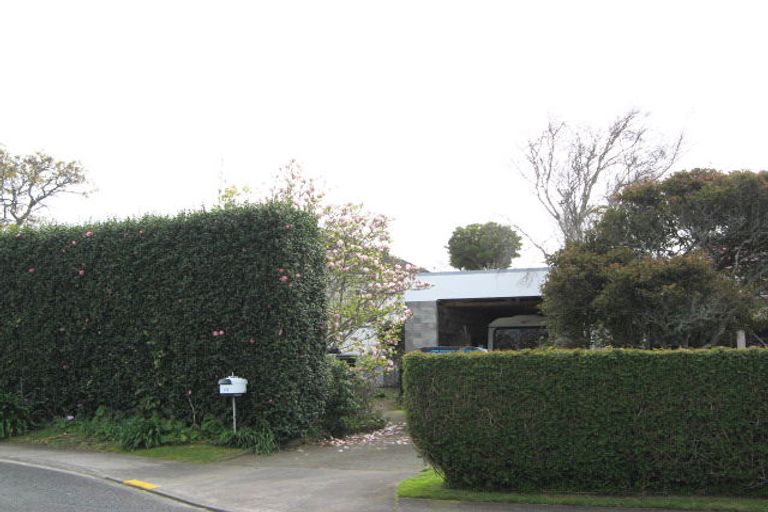 Photo of property in 24 Walsh Road, Westown, New Plymouth, 4310
