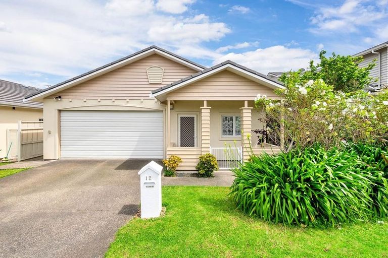 Photo of property in 12 Mulvaney Crescent, Henderson, Auckland, 0612