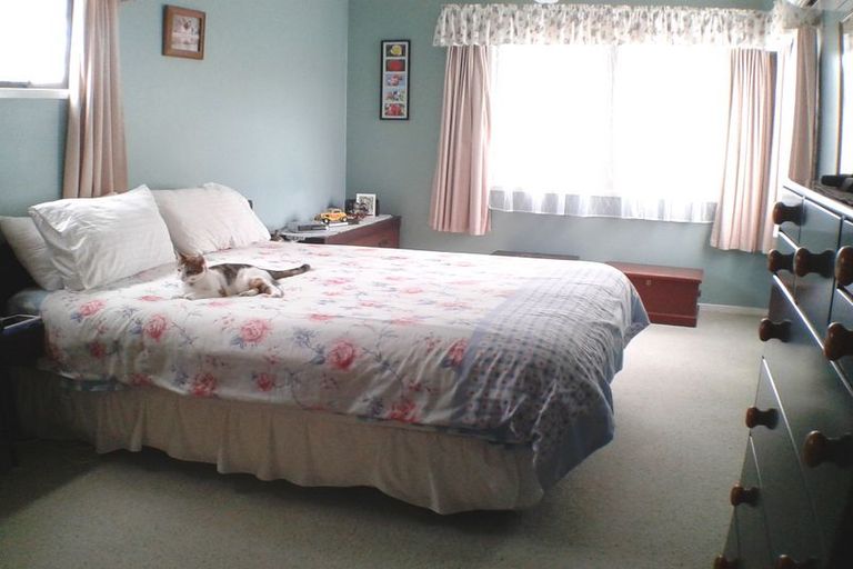 Photo of property in 37 Williams Avenue, Morrinsville, 3300