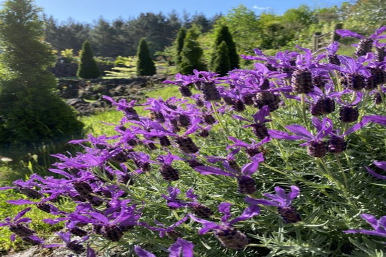 Photo of property in 35 Davis Strongman Place, Kerikeri, 0293