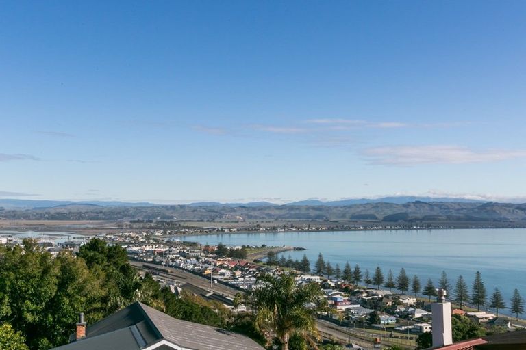 Photo of property in 131 Thompson Road, Bluff Hill, Napier, 4110