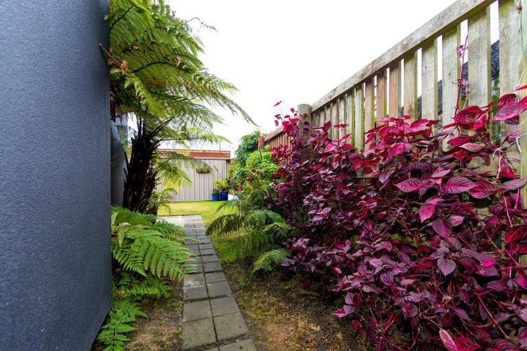 Photo of property in 4 Gregory Grove, Clive, 4102