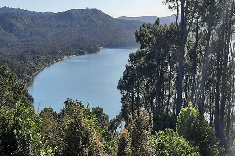 Photo of property in 95 Cornwallis Road, Cornwallis, Auckland, 0604