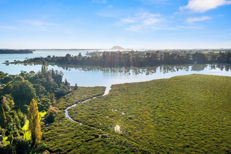 Photo of property in 224 Plummers Point Road, Whakamarama, Tauranga, 3172