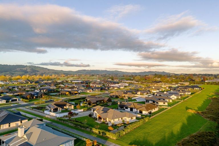 Photo of property in 41 Alan Livingston Drive, Cambridge, 3434