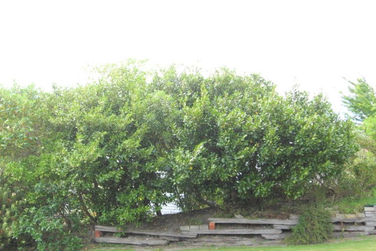 Photo of property in 11 Wallis Road, Kaiti, Gisborne, 4010