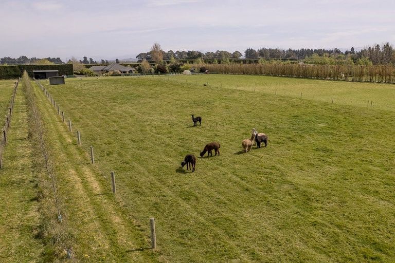 Photo of property in 1630 Clintons Road, Darfield, 7571