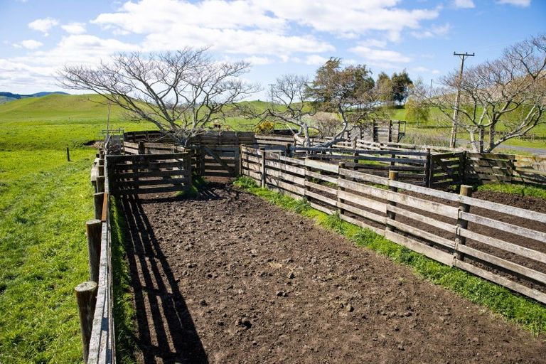 Photo of property in 814 Crownthorpe Sett Road, Crownthorpe, Hastings, 4179