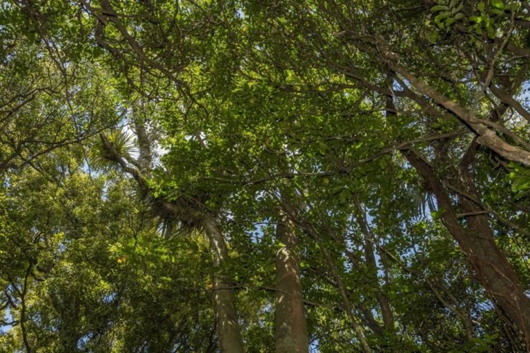 Photo of property in 36 Goodall Road, Whakamarama, Tauranga, 3179