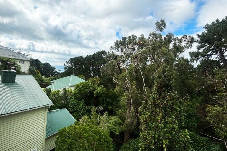 Photo of property in 51 Mortimer Terrace, Brooklyn, Wellington, 6021