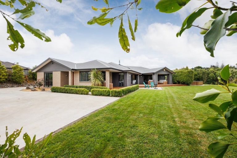Photo of property in 19 Whio Avenue, Feilding, 4775