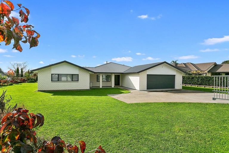 Photo of property in 41 Veda Lane, Te Awamutu, 3800