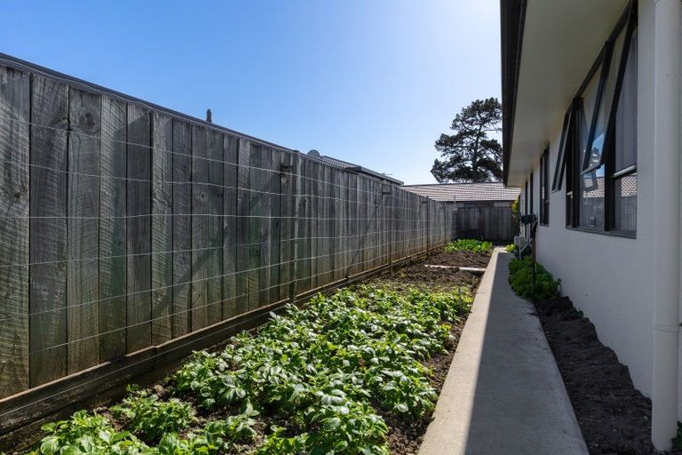 Photo of property in 136 Maxwell Road, Redwoodtown, Blenheim, 7201