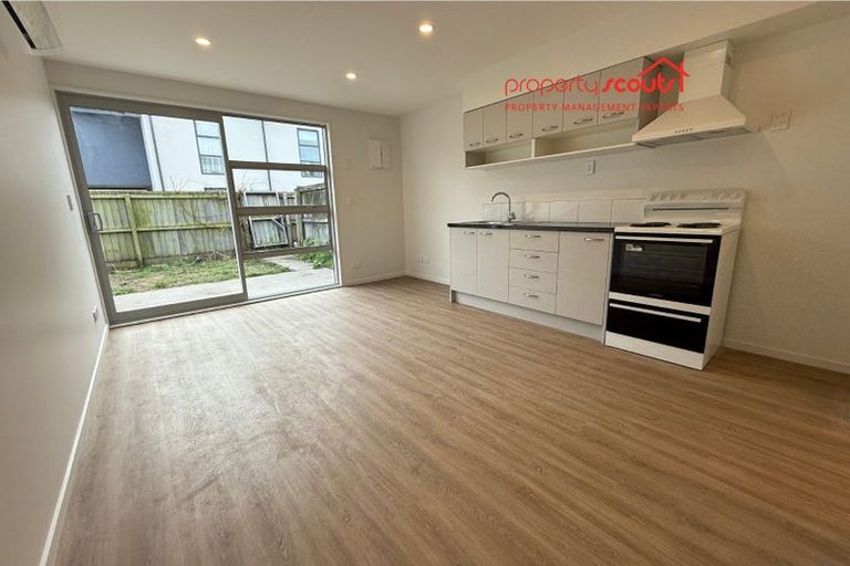 Photo of property in 77e Bordesley Street, Phillipstown, Christchurch, 8011