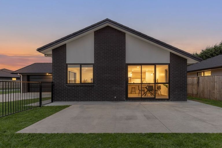 Photo of property in 79 Hinemoa Street, Levin, 5510