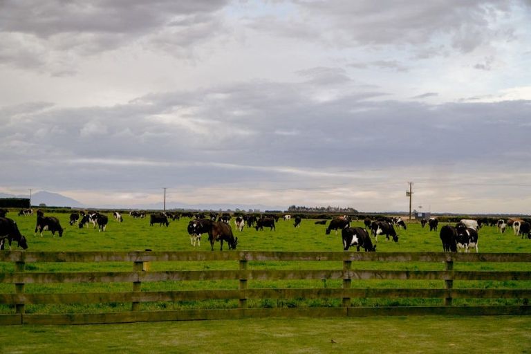 Photo of property in 1340 Fords Road, Ashton, Ashburton, 7774