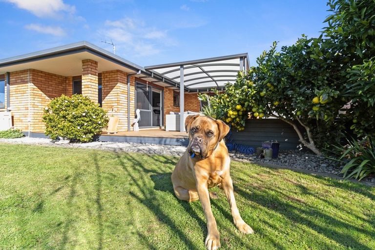 Photo of property in 1 Vogel Place, Te Aroha, 3320