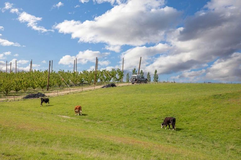 Photo of property in 27 Lapins Way, Waikerikeri, Alexandra, 9391