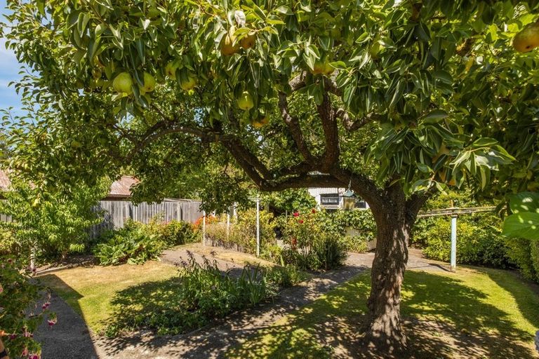 Photo of property in 16 Gibbon Street, Sydenham, Christchurch, 8023