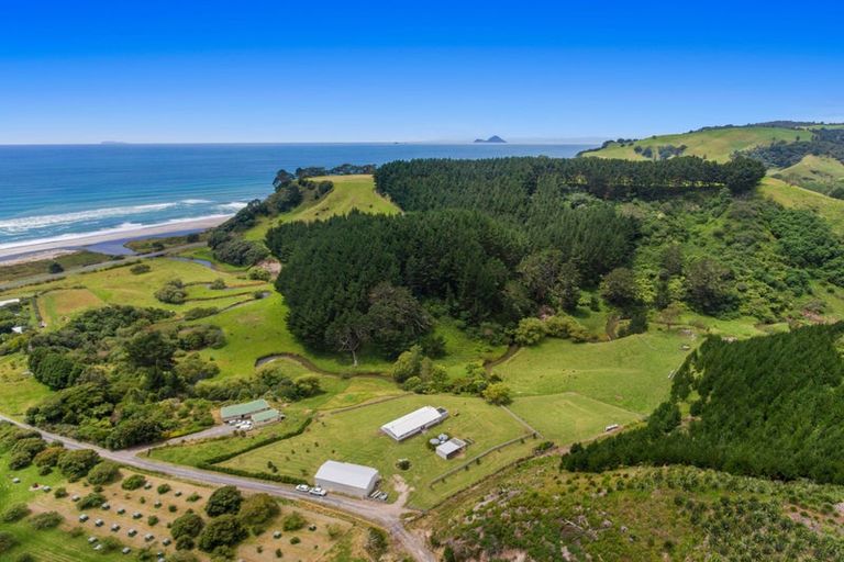 Photo of property in 603f State Highway 2 West, Pikowai, Whakatane, 3194