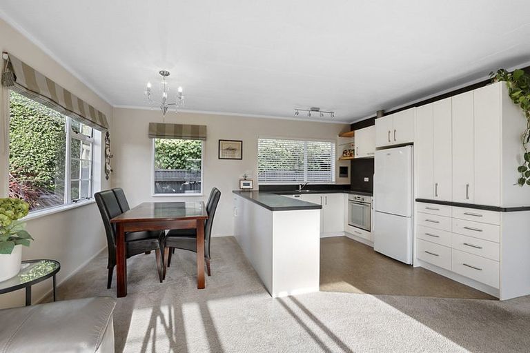 Photo of property in 157a Carrington Street, Lower Vogeltown, New Plymouth, 4310