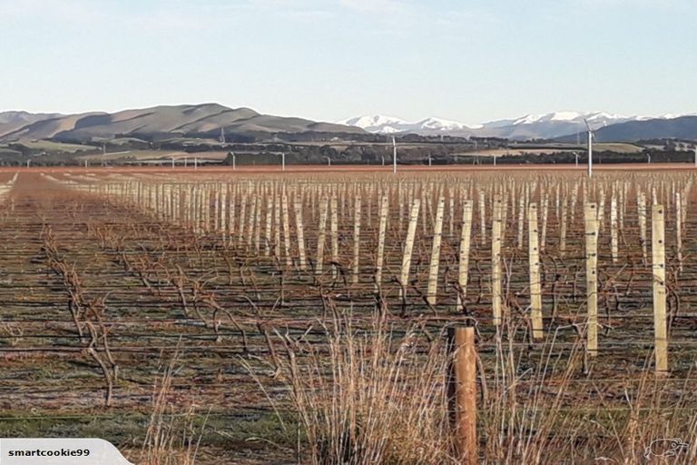 Photo of property in 9 Ferguson Avenue, Waipara, 7483