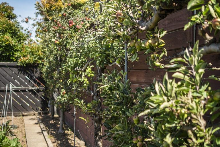 Photo of property in 5 Cathray Place, Matua, Tauranga, 3110