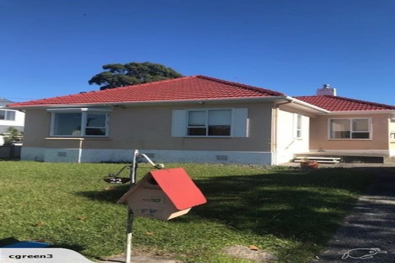Photo of property in 22 Niccol Avenue, Narrow Neck, Auckland, 0624