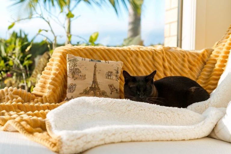 Photo of property in 71 Kulim Avenue, Otumoetai, Tauranga, 3110