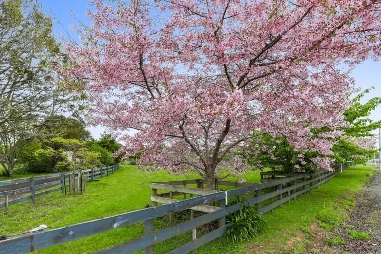 Photo of property in 387 Buckland Road, Buckland, Pukekohe, 2677