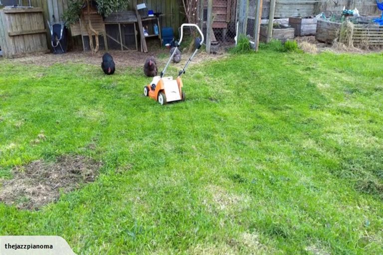 Photo of property in 15 Black Road, Paengaroa, Te Puke, 3189