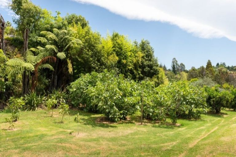 Photo of property in 3 Te Karaka Drive, Te Puna, Whakamarama, 3172