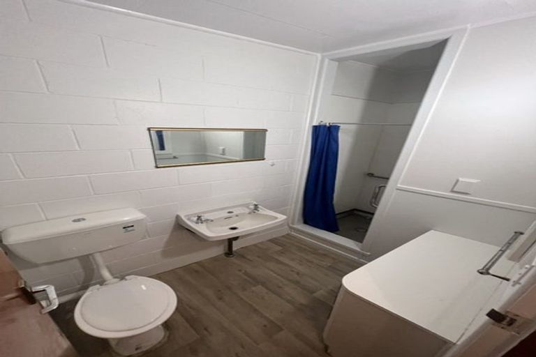 Photo of property in 19 Devon Street, Levin, 5510