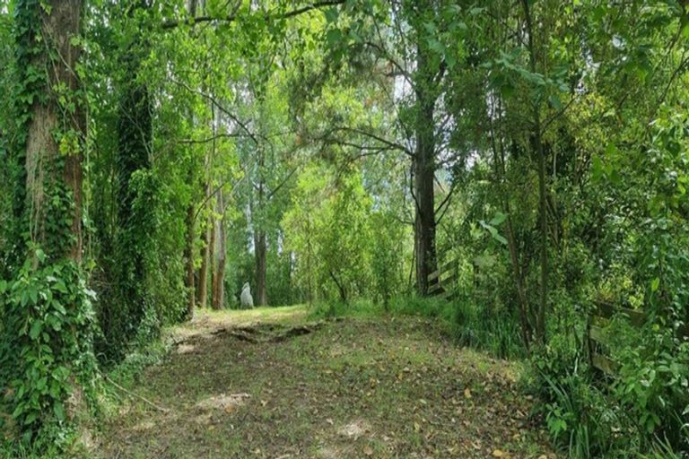 Photo of property in 47 Te Whanga Road, Levin, 5572