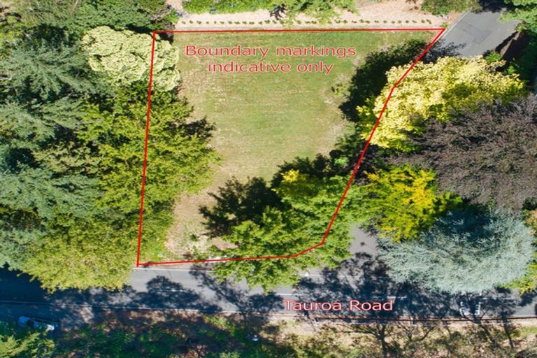 Photo of property in 84 Tauroa Road, Havelock North, 4130