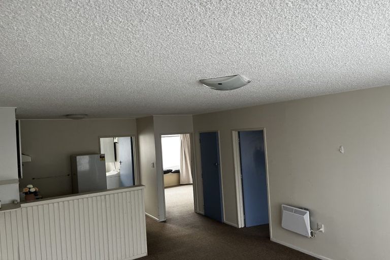 Photo of property in 19 Sheen Street, Roslyn, Dunedin, 9010