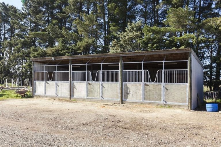 Photo of property in 212 Isaac Road, Eyrewell, Rangiora, 7476