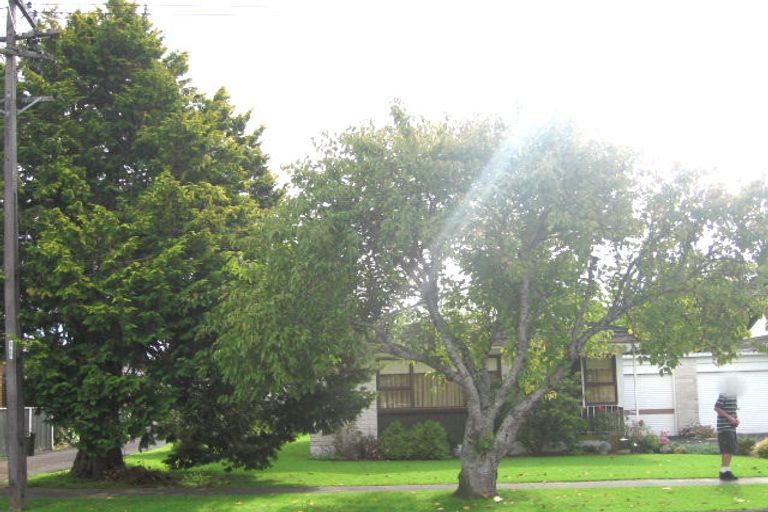 Photo of property in 60a Allenby Road, Papatoetoe, Auckland, 2025