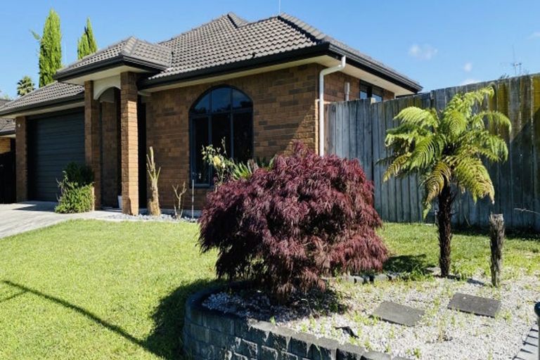 Photo of property in 12 Saint Johns Avenue, Hamilton East, Hamilton, 3216