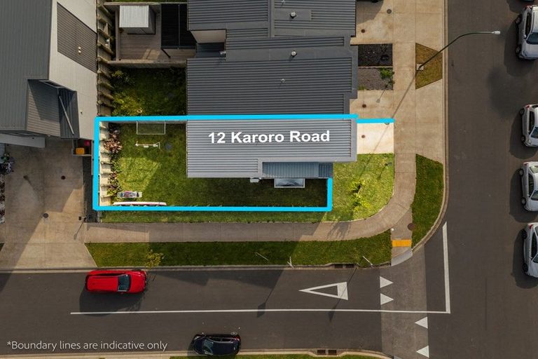 Photo of property in 12 Karoro Road, Flat Bush, Auckland, 2019