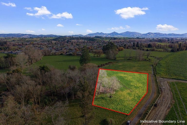 Photo of property in 584a Orari Station Road, Geraldine, 7992
