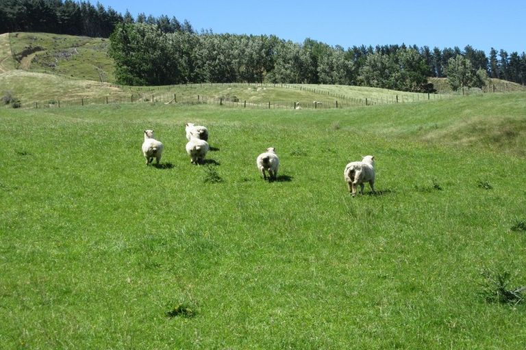 Photo of property in 3928 Porangahau Road, Porangahau, Waipukurau, 4284