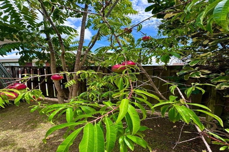 Photo of property in 24 Tawa Road, Onehunga, Auckland, 1061