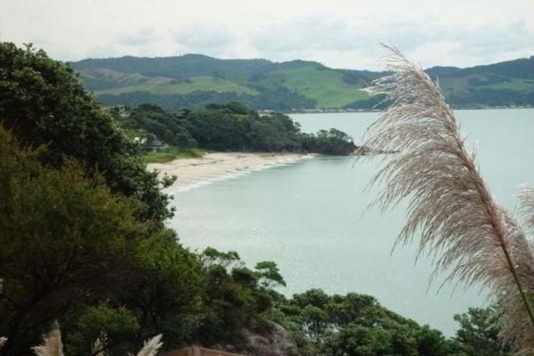 Photo of property in 1067 Purangi Road, Ferry Landing, Whitianga, 3591