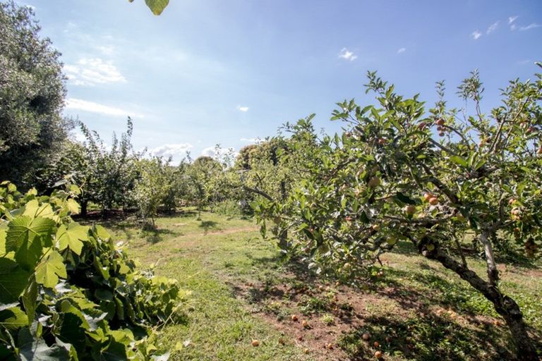 Photo of property in 7208 State Highway 26, Komata, Paeroa, 3674