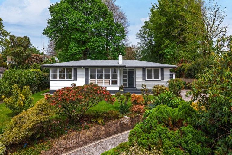 Photo of property in 14 Norrie Place, Putaruru, 3411