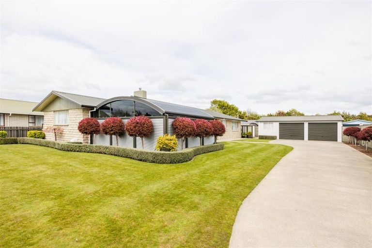 Photo of property in 19 Armagh Terrace, Marton, 4710